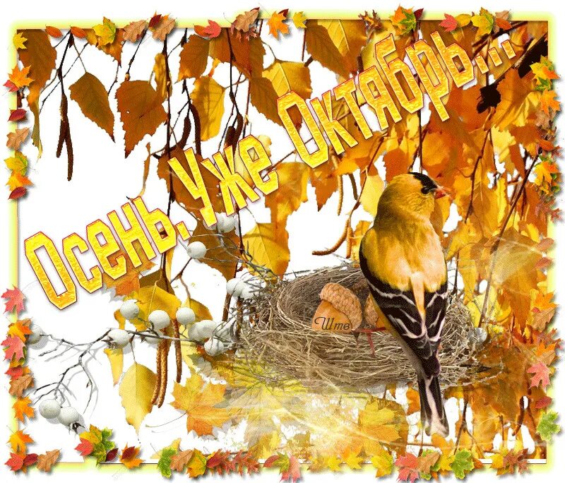 Через 2 дня сентябрь. Прощай сентябрь здравствуй октябрь. Осень прощается с летом. Здравствуй осень. Приколы про осень.