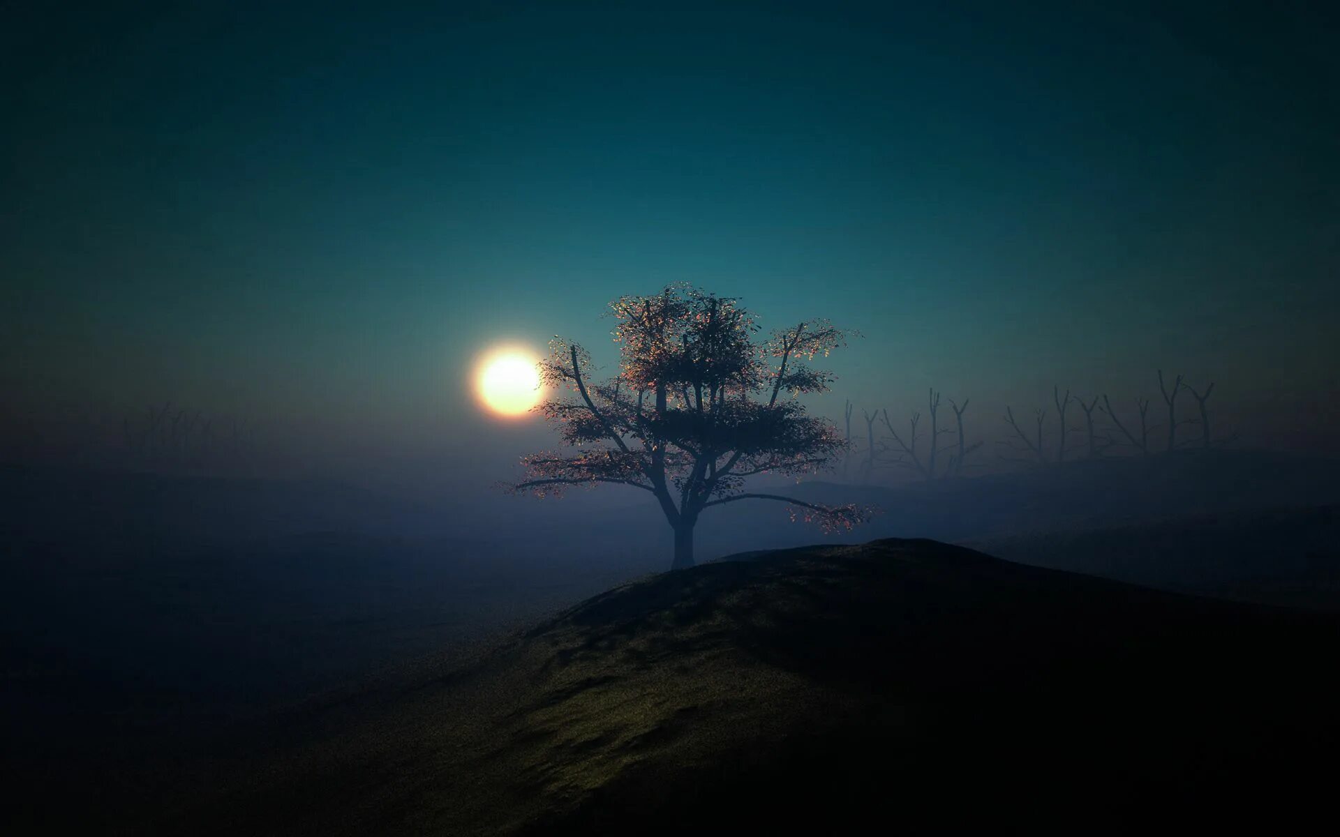 Дерево освещенное луной. Ночной пейзаж с деревьями. Одинокое дерево ночью. Холм ночью. Одинокое дерево в тумане.