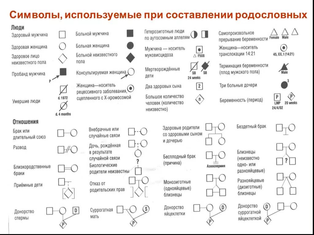 Символы генетики 10 класс. Генеалогический метод обозначения. Символы используемые для составления родословной. Родословная обозначения в генетике. Обозначение заболеваний в генетике.