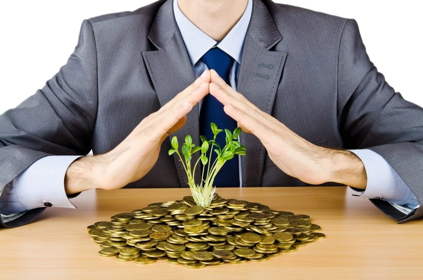 Предпринимательство. Предпринимательская деятельность. Бизнес менеджмент. Предприятия и организации. Предпринимательство в развитии предприятия.