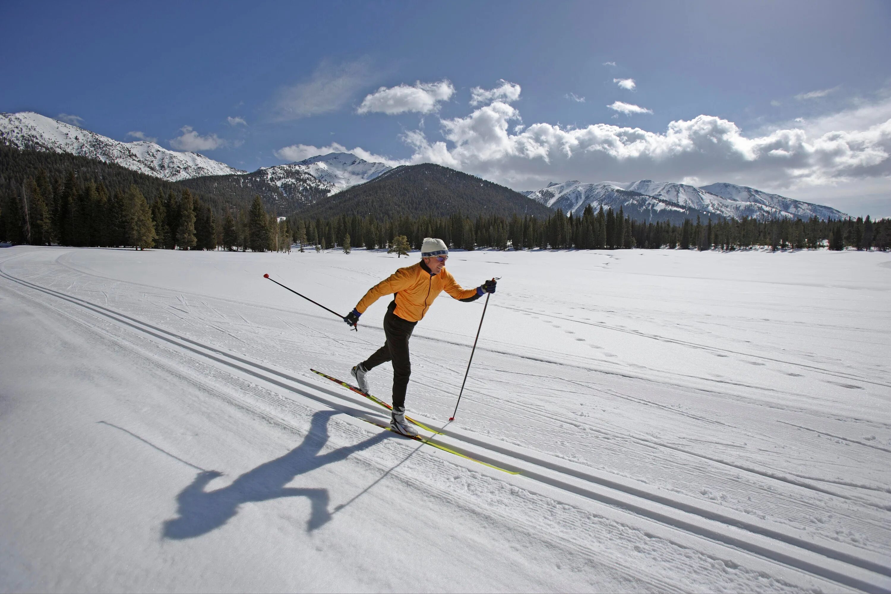 Skiing track. Классический стиль лыжи. Беговые лыжи. Классические лыжи. Классический ход на лыжах.