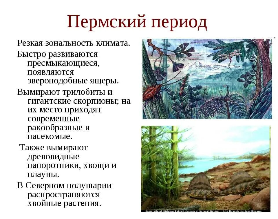 Существовавший в палеозое. Пермский период палеозойской эры. Пермь период палеозойской эры климат. Палеозойская Эра Пермский период климат. Пермский период палеозойской эры животные.