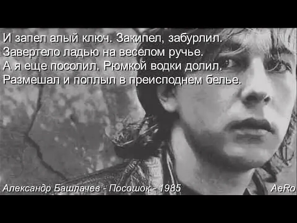 Башлачев посошок. Посошок башлачев. сашбаш посошок.