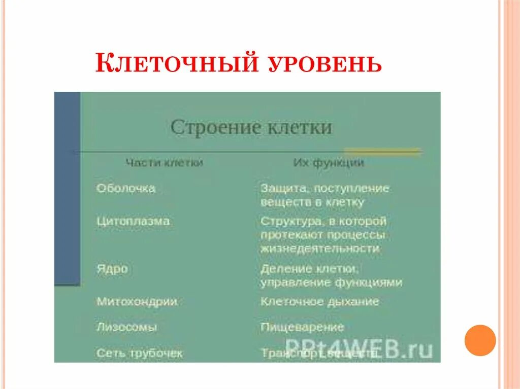 Клеточный уровень класс. Клеточный уровень строение. клеточный уровень организации таблица. уровни организации структур клетки. клеточный уровень организации процессы.