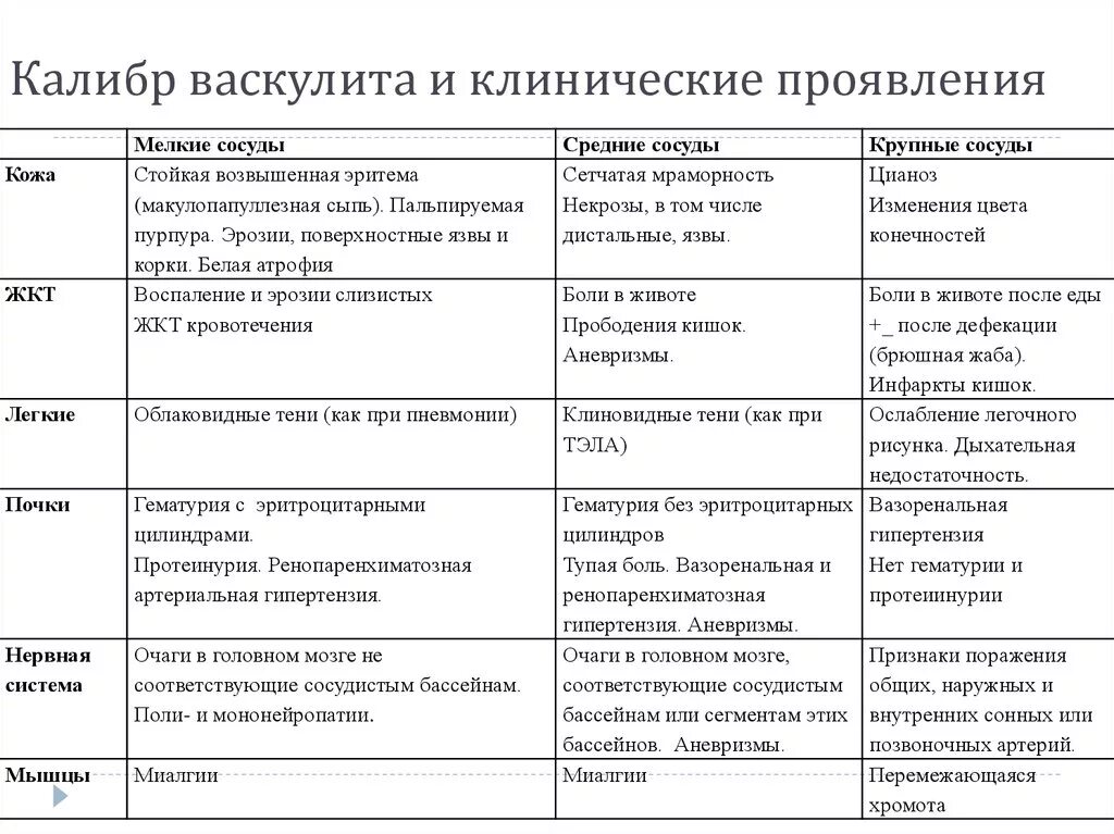 Васкулиты студфайл