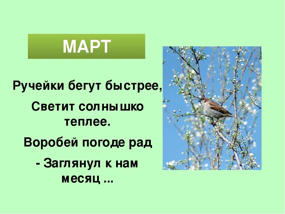 Загадки про весну средняя группа. Загадки про весну. Весенние загадки. Загадки о весне для дошкольников. Загадки о весне для 2 класса.