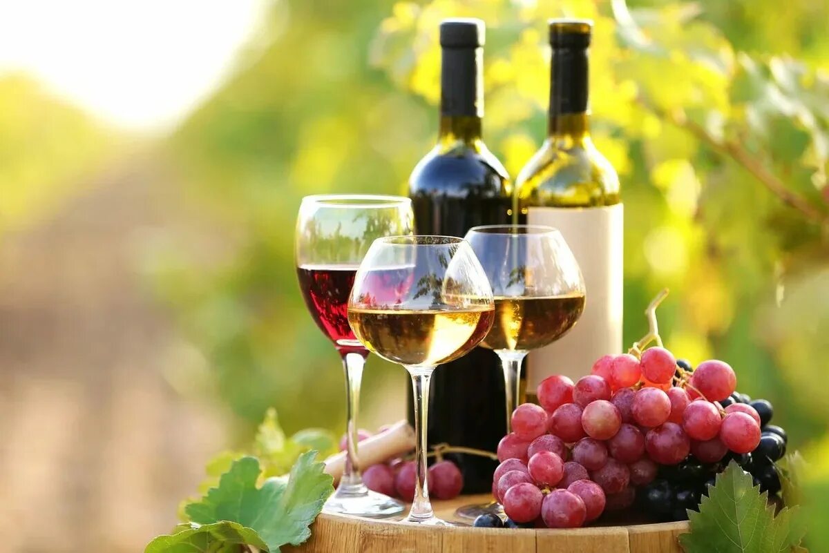 Розовый виноград вино