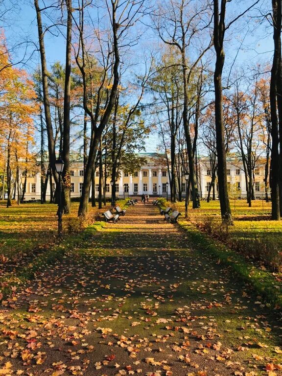 Академия талантов каменноостровский дворец. Каменноостровский дворец в санкт-петербурге. Академия талантов цми спб. Каменноостровский дворец зал. Наб малой невки 1 академия талантов.