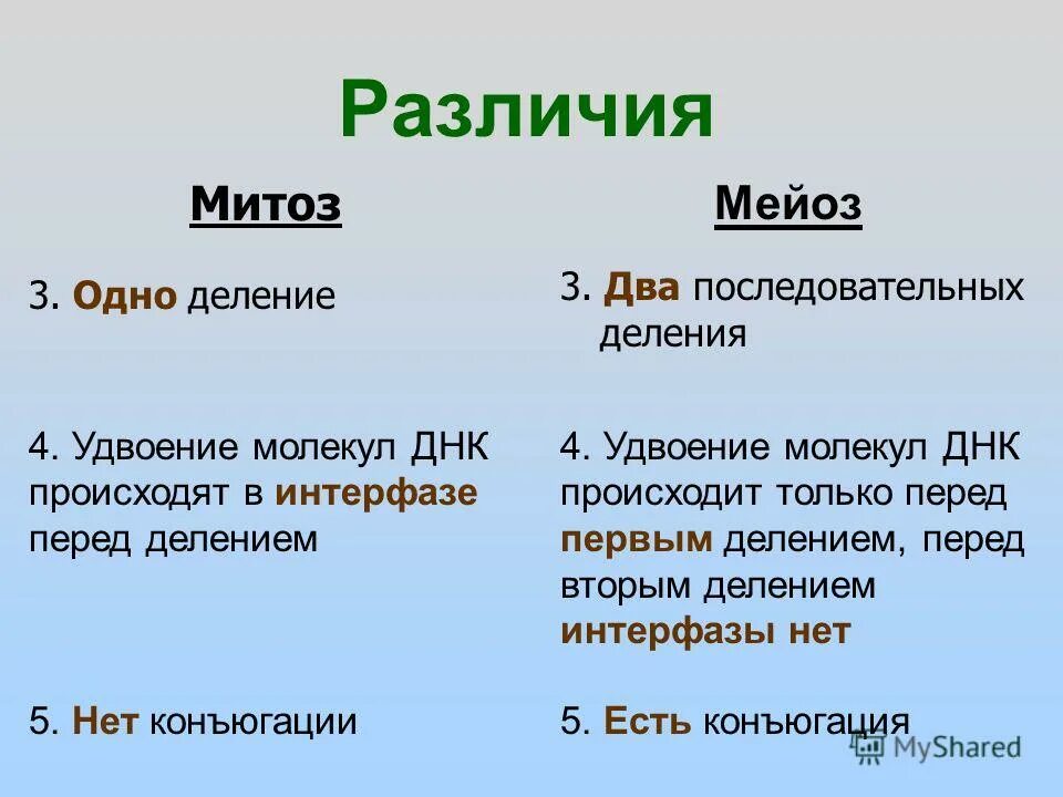 Сравнение митоза и мейоза таблица