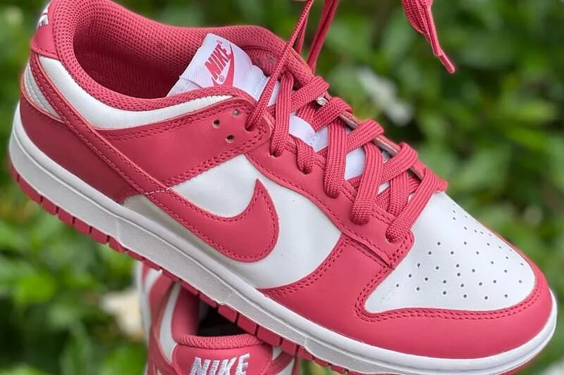 Купить кроссовки nike dunk low. Nike Dunk SB Pink. Nike Dunk Pink. Nike Dunk Low Archeo Pink. Nike SB Dunk Low розовые.