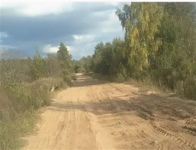 Псковское лесничество