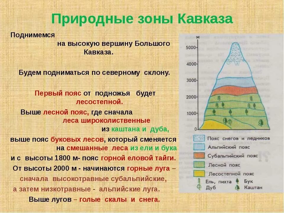 Почвы высотной поясности северной америки. Высотная поясность таблица 8 класс география. Высотная поясность Кавказа 8 класс. Природные зоны на Урале ВЫСОТНОЙ поясности. Высотная поясность 8 класс география.