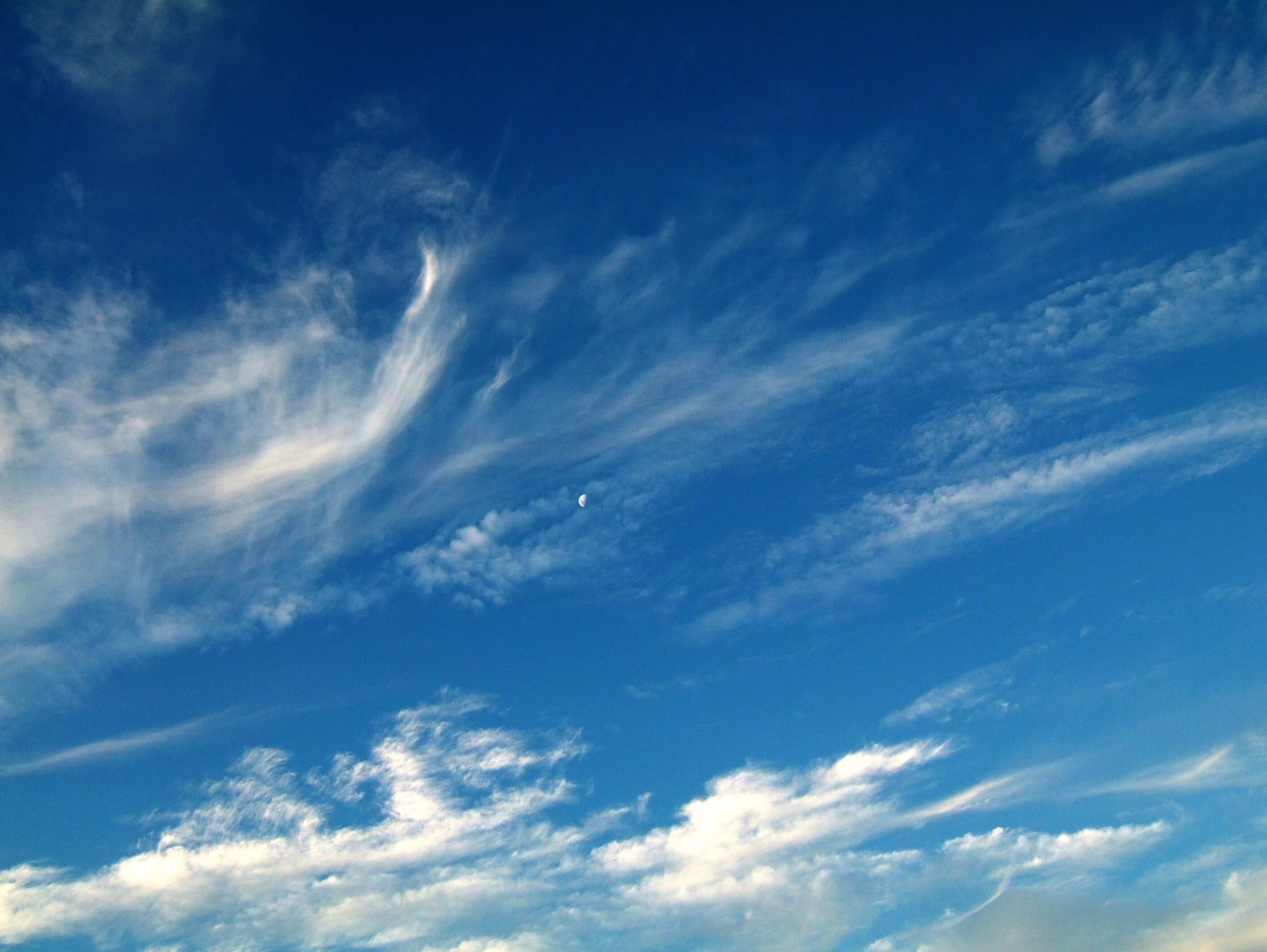 Перисто-Слоистые облака. Небо с перистыми облаками. Перьевые облака. Перистые облака фото.