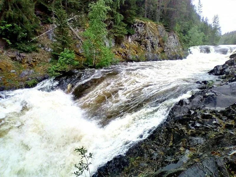 Утриш кивач пасвик. Водопад кивач. водопад кивач в карелии. грозный водопад кивач. кивач весной.