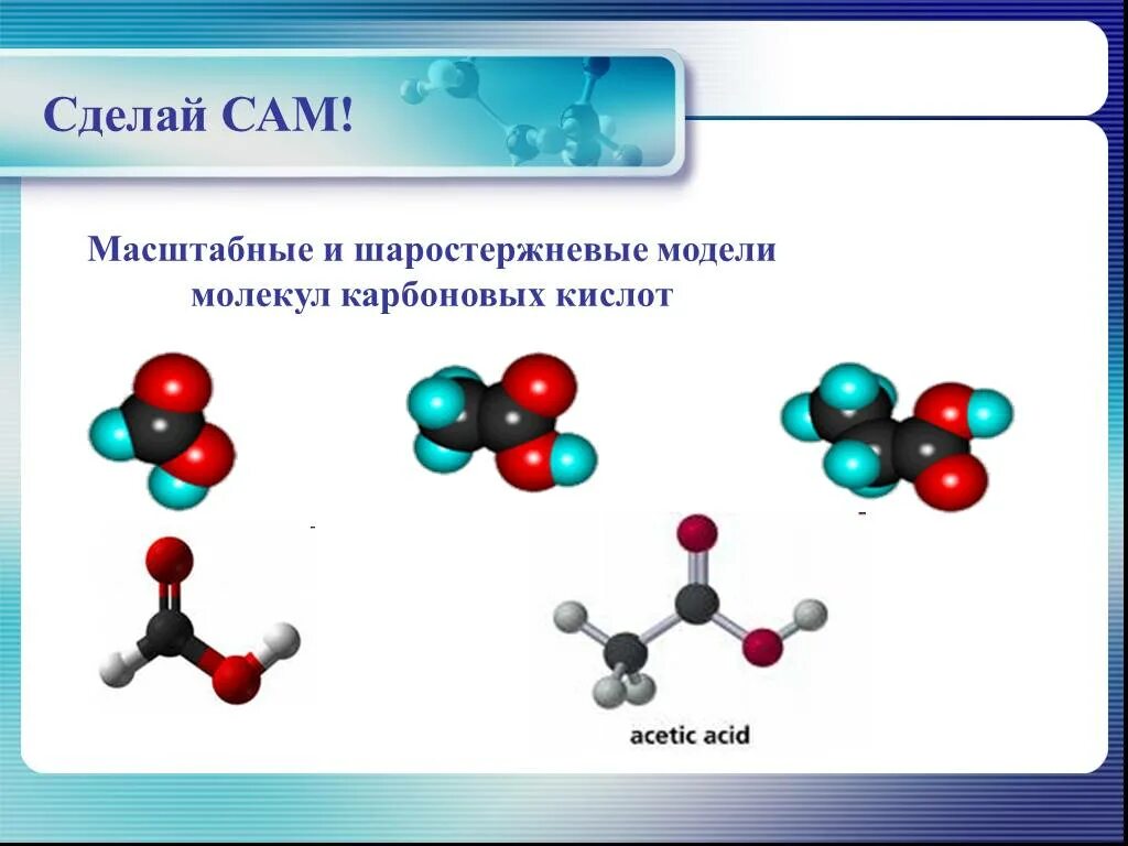 Молекулы карбоновых кислот содержат. Шаростержневые модели карбоновые кислоты. Шаростержневые модели кислот. Шаростержневая модель уксусной кислоты. Карбоновые кислота макет.