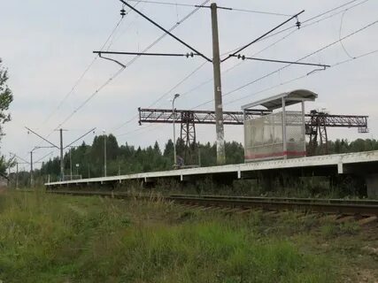 5 чащ