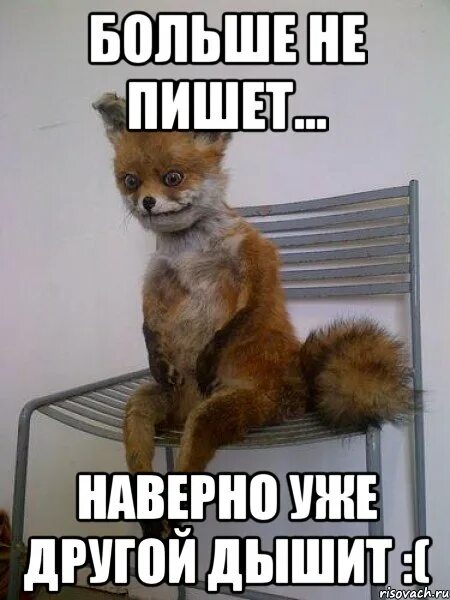 Почему мне не перезванивают. Почему мне не перезванивают