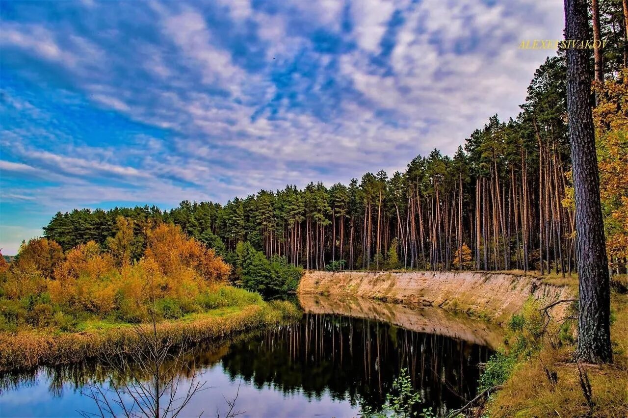 Доброе курская область. Курская область красоты. Курская область природа. Курская область Курский край. Курск природа река Сейм.