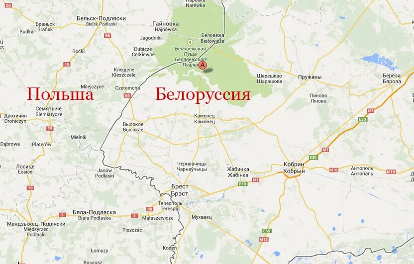 Брест беловежская пуща расстояние. Карта белоруссии беловежская пуща на карте беларуси. беловежская пуща на карте белоруссии. беловежская пуща границы заповедника на карте. карта белоруссии беловежская пуща на карте.