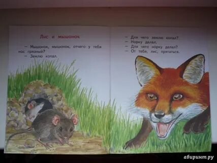 Хитрый как лис ловкий как тигр книга