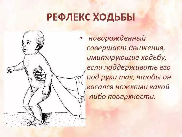 Рефлекс ходьбы. Рефлекс опоры и автоматической походки. Рефлекс хождения у младенцев. Рефлекс ходьбы. Назовите основные безусловные рефлексы новорожденного.