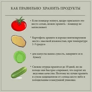 Хранить овощи сложное слово существительное