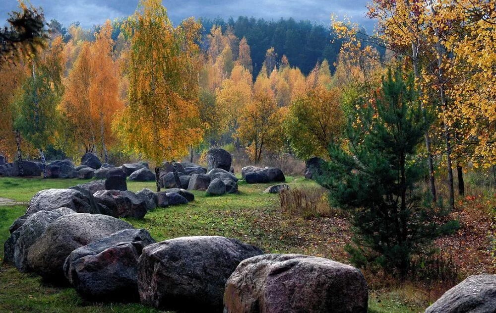 Парк камней минск. Музей валунов. Парк камней минск. Музей камней в минске. Музей камней беларусь.
