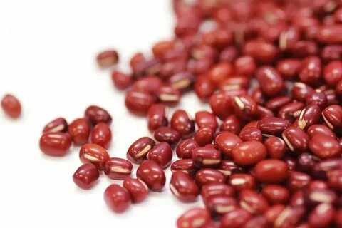 Bean 1