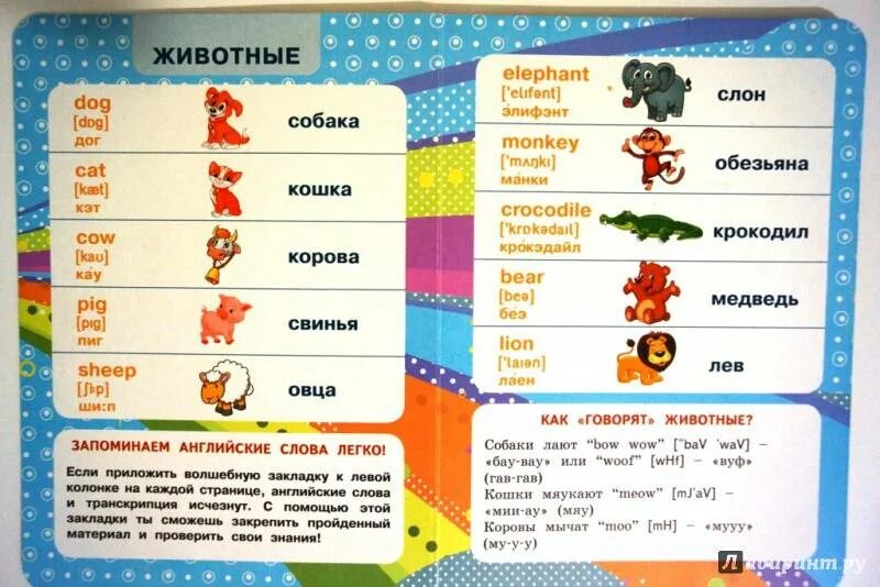 Выучить английский предложениями. Английские слова. легкие слова на английском. изучаем английские слова. дети учат английский.