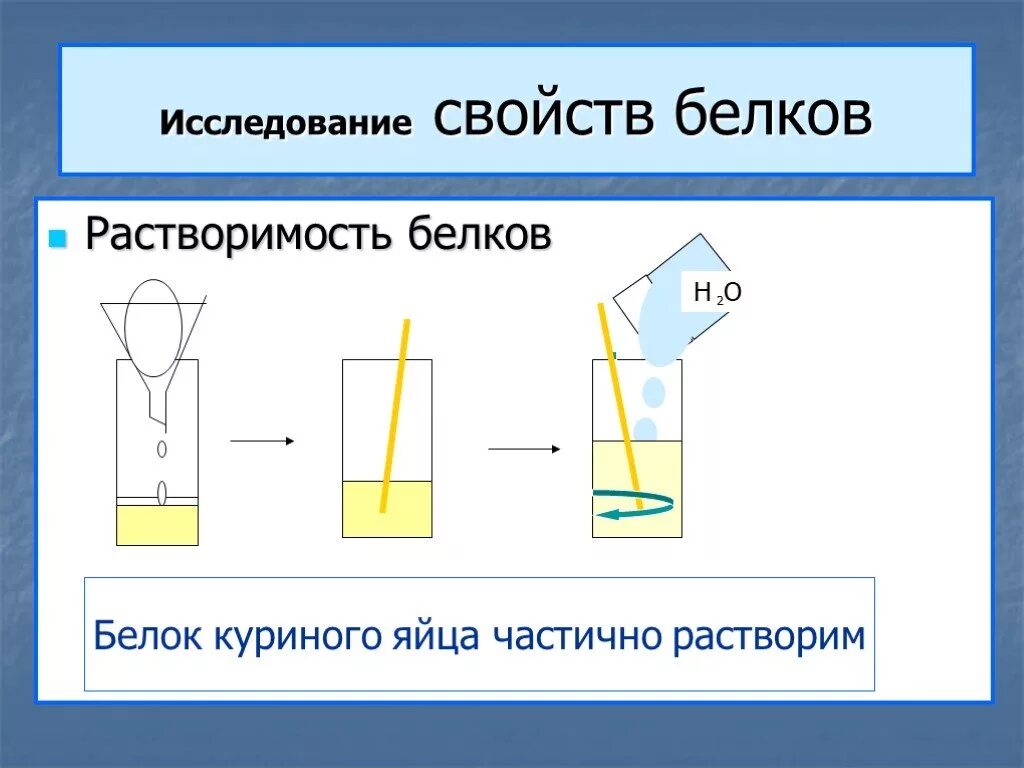 Растворы белков в воде. Растворение белков в воде. Растворимость белков. Растворимость белков в воде. Исследование свойств белков.