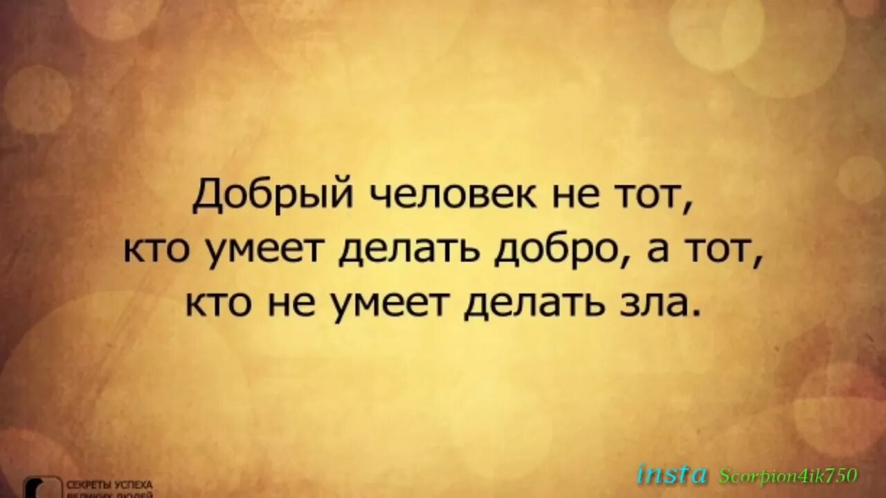 Каждый важен цитаты. Умные высказывания. мудрые фразы. мудрые изречения. мысли цитаты.