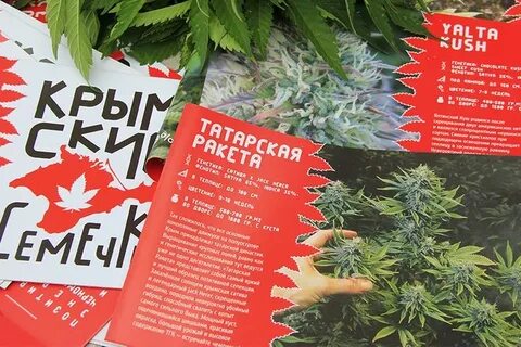Сид банки