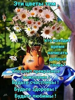 Не добрые пожелания