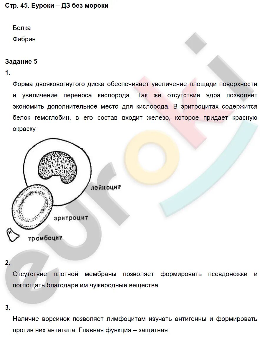 элементы кожи и их функции. практическая работа исследуем нашу кожу. слои кожи строение и функции таблица. практическая работа по биологии 8 класс кожа. лабораторная работа по биологии 8 класс колесов.