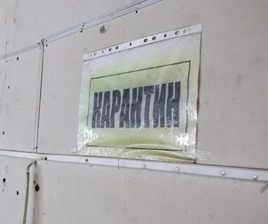 Петербург закрыт на карантин