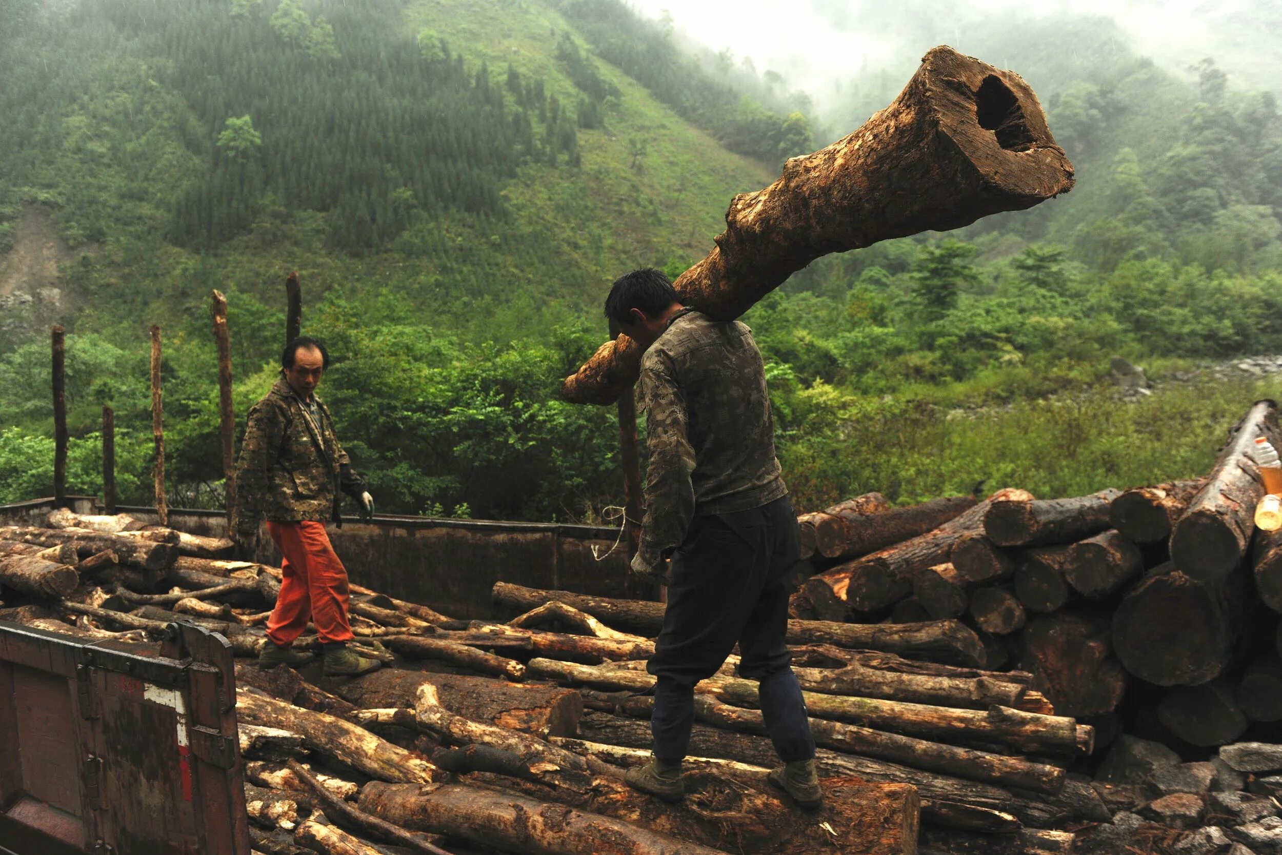 Problems logging