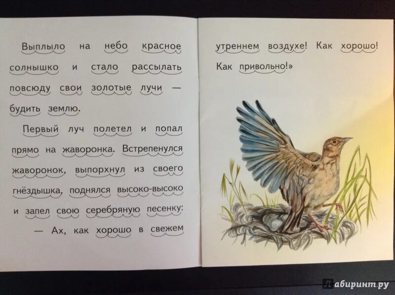 Рассказ утро читать. Рассказ утренние лучи Ушинский. Утренние лучи Ушинский иллюстрации.