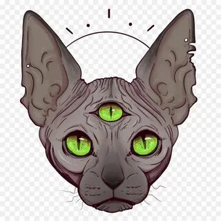 Головы котиков