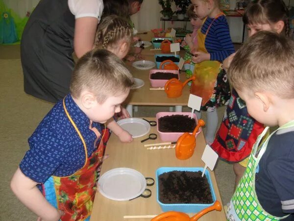 познавательные опыты для дошкольников. познавательно-исследовательская деятельность детей.