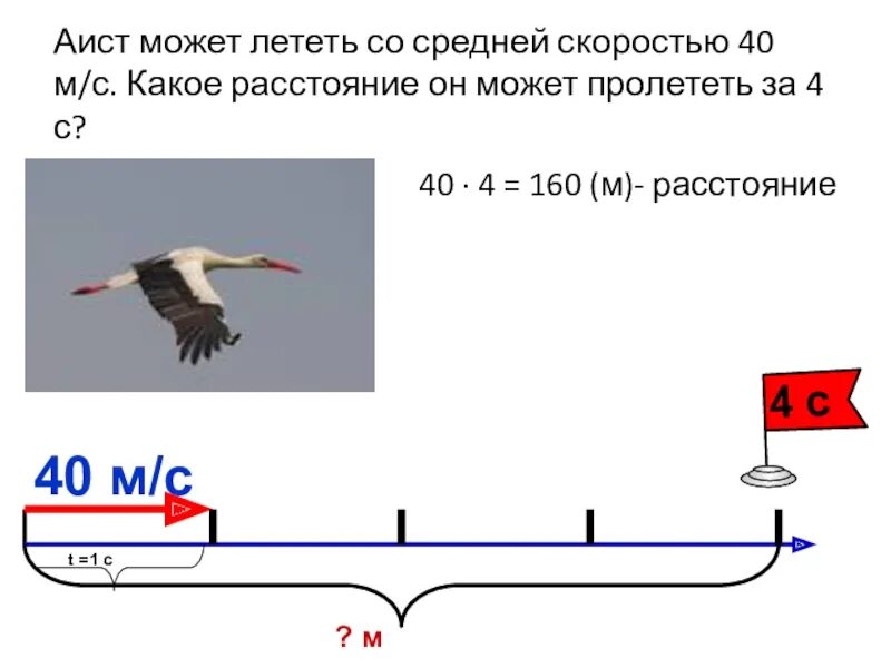 Самолет летит со скоростью 720. Аист может летать со средней скоростью. Скорость полета гуся. Аист может лететь со скоростью 600. Скорость полета аиста.