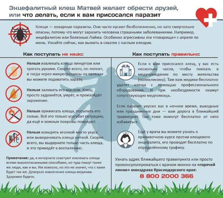 Что необходимо сделать при укусе клеща. Укус клеща куда обращаться. Место на коже после укуса клеща. Что делать если укусил клещ. Чтотделать если укустл клещ.
