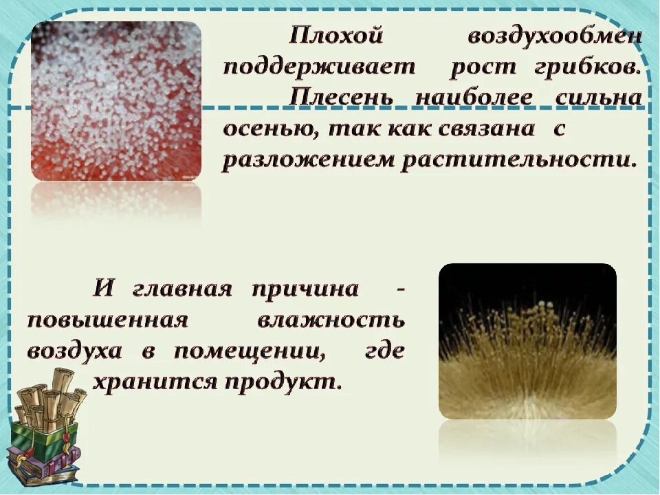 Что для плесени необходимы определенные условия. Плесень презентация. Презентация по теме плесень. Проект по теме плесень. Презентация к проекту плесень.