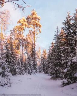 Ели утром