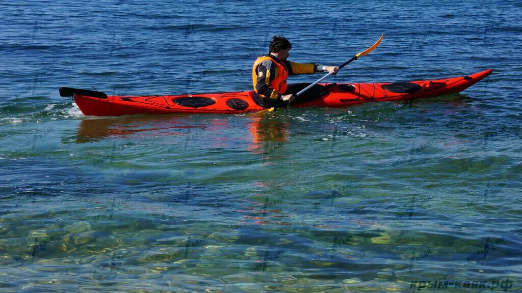 напарник каяка 5 букв сканворд