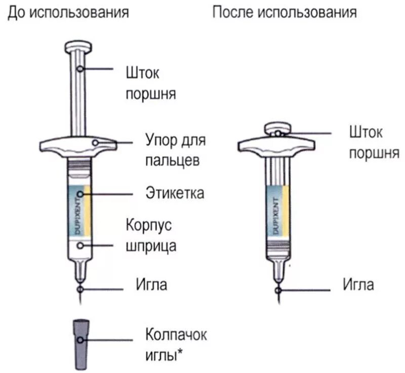 Размеры уколов. Толщина иглы шприца 5 мл. Диаметр поршня шприца 5 мл. Шприцы 2 мл для внутримышечных инъекций размер иглы. Шприц 2 мл параметры.