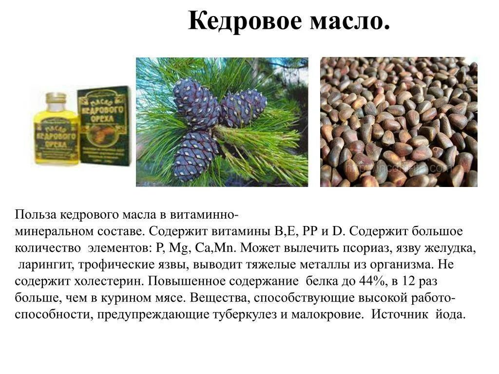 Кедровый орех. Кедровое масло польза. Кедровоеммасло польза. Масло кедрового ореха. Кедровое масло для организма