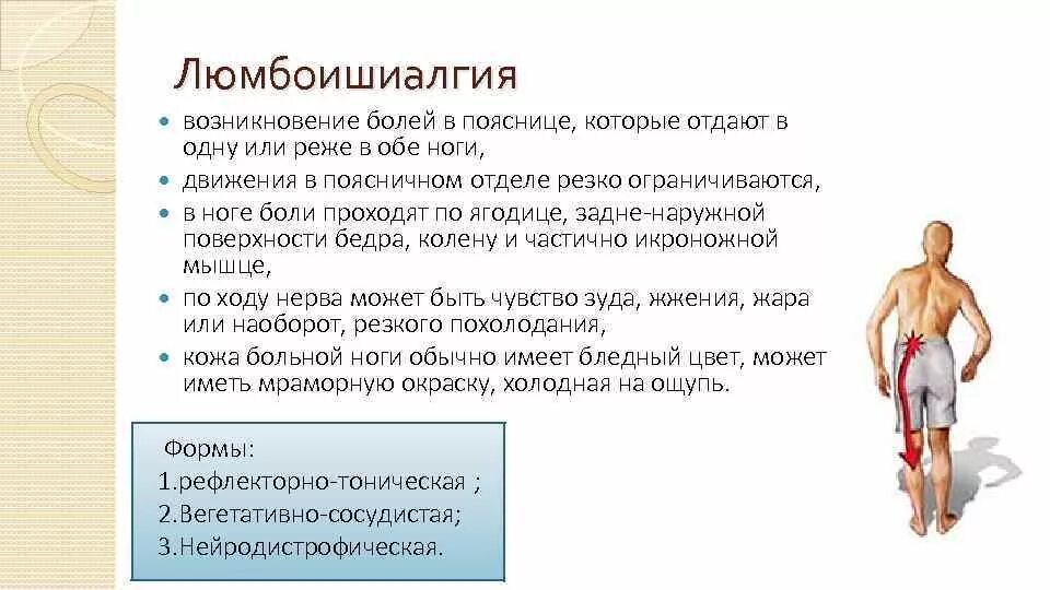 Тянет поясницу отдает в ягодицу