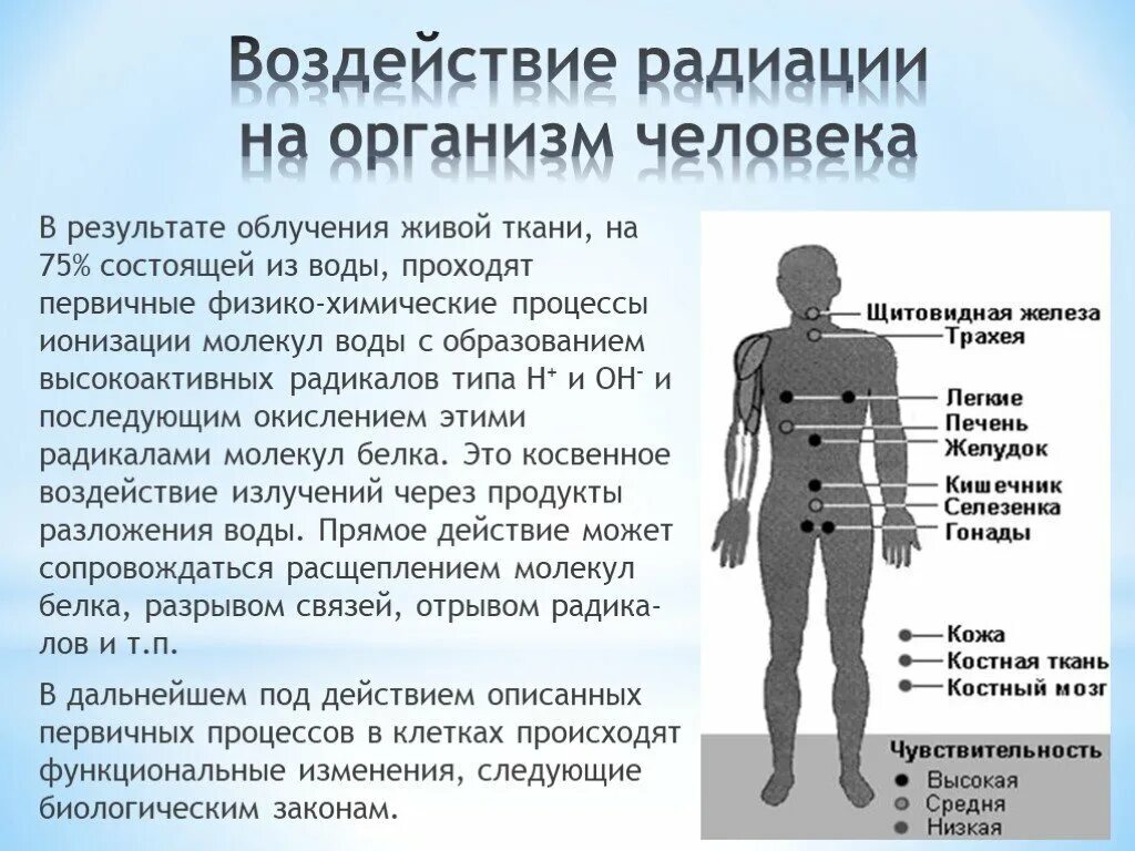 Воздействие радиации на организм человека. Воздействие излучений на организм человека. Последствия воздействия радиации на организм человека. Действие радиации на живые организмы