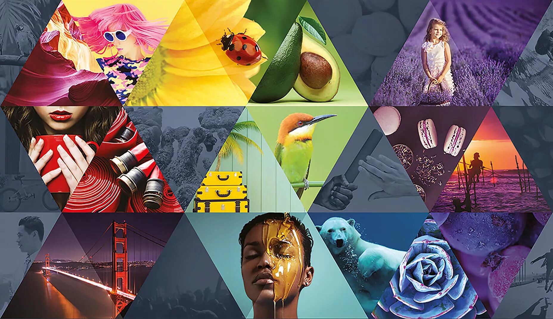 Стильный коллаж. Рекламные плакаты современные. Креативные макеты для рекламы. Креативная графика. Стильный коллаж.