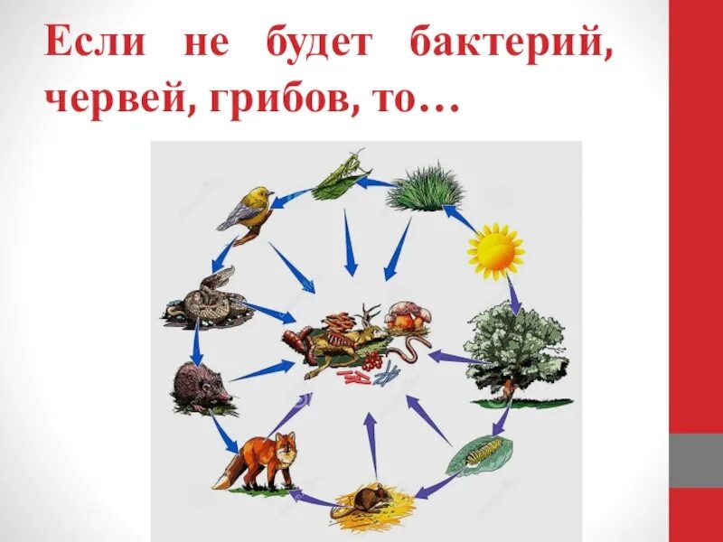 Проект на тему природа 5 класс Презентация на тему: "Окружающая среда и ее охрана" начальные классы, презента